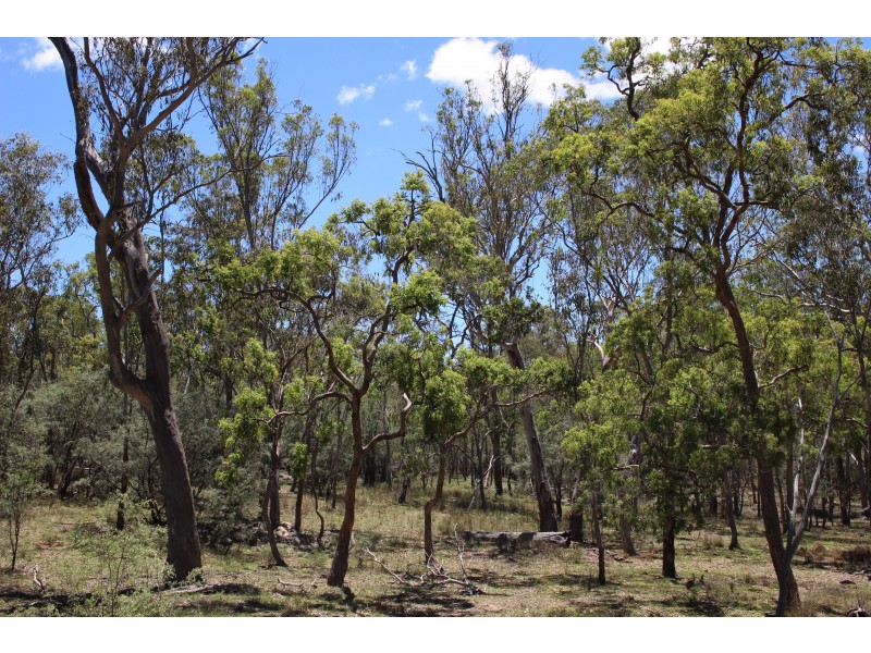 1402a Woodside Road, Tenterfield NSW 2372