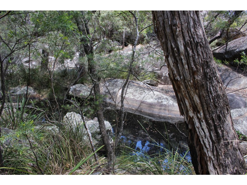 1402a Woodside Road, Tenterfield NSW 2372