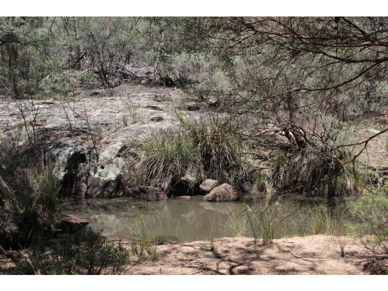 1402a Woodside Road, Tenterfield NSW 2372