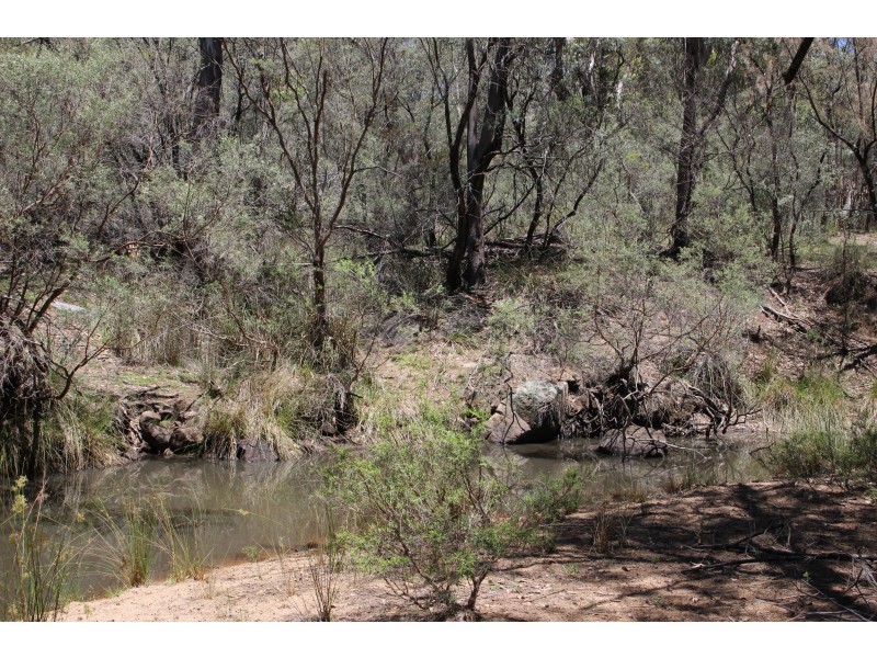 1402a Woodside Road, Tenterfield NSW 2372