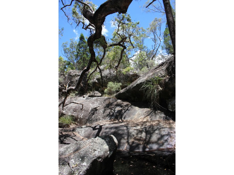 1402a Woodside Road, Tenterfield NSW 2372