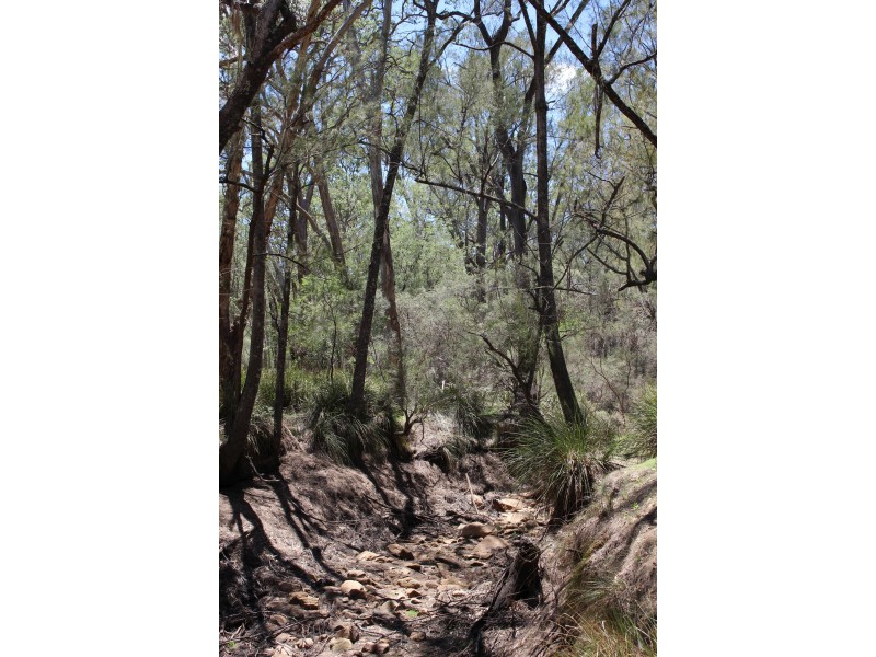 1402a Woodside Road, Tenterfield NSW 2372