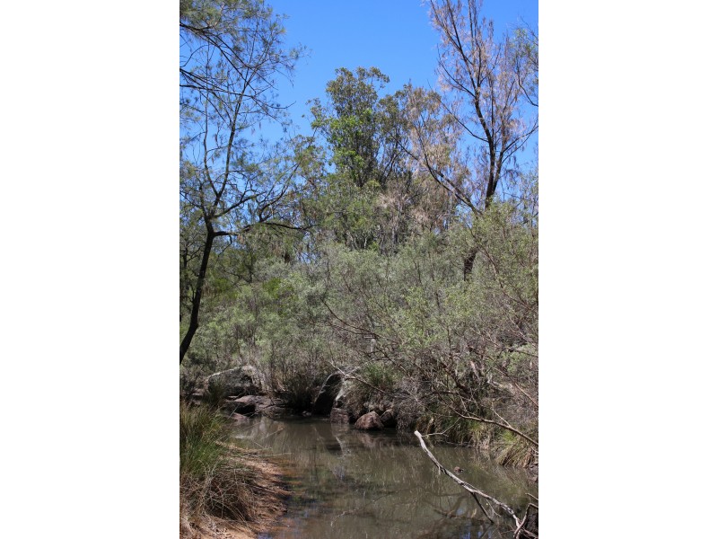 1402a Woodside Road, Tenterfield NSW 2372