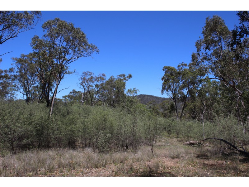 1402a Woodside Road, Tenterfield NSW 2372