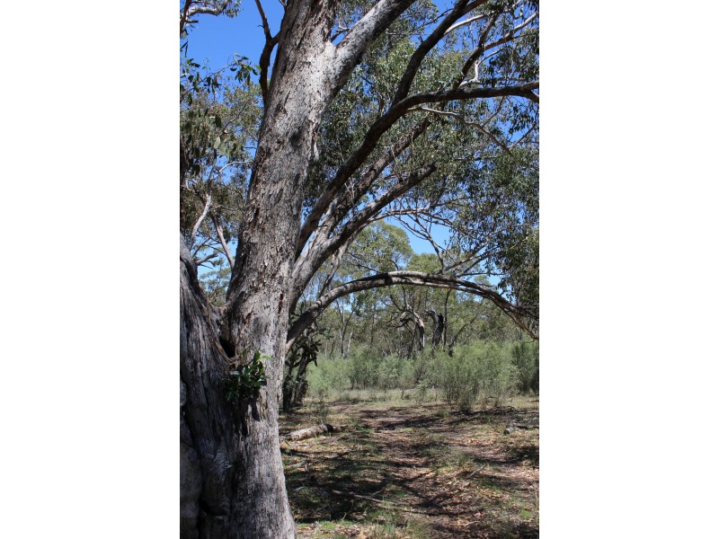 1402a Woodside Road, Tenterfield NSW 2372