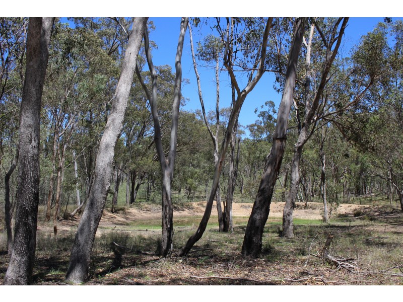 1402a Woodside Road, Tenterfield NSW 2372