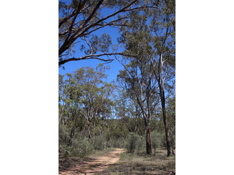 1402a Woodside Road, Tenterfield NSW 2372