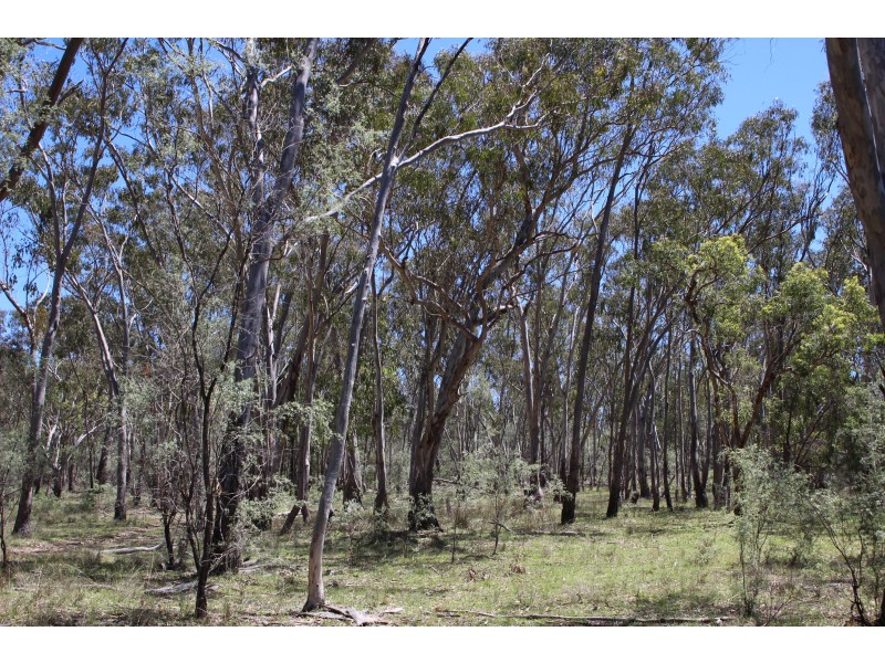 1402a Woodside Road, Tenterfield NSW 2372