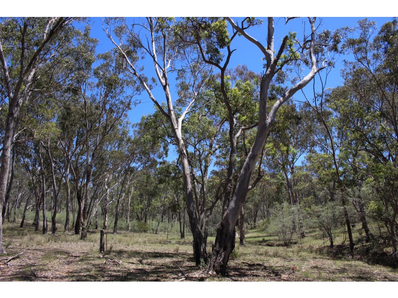 1402a Woodside Road, Tenterfield NSW 2372