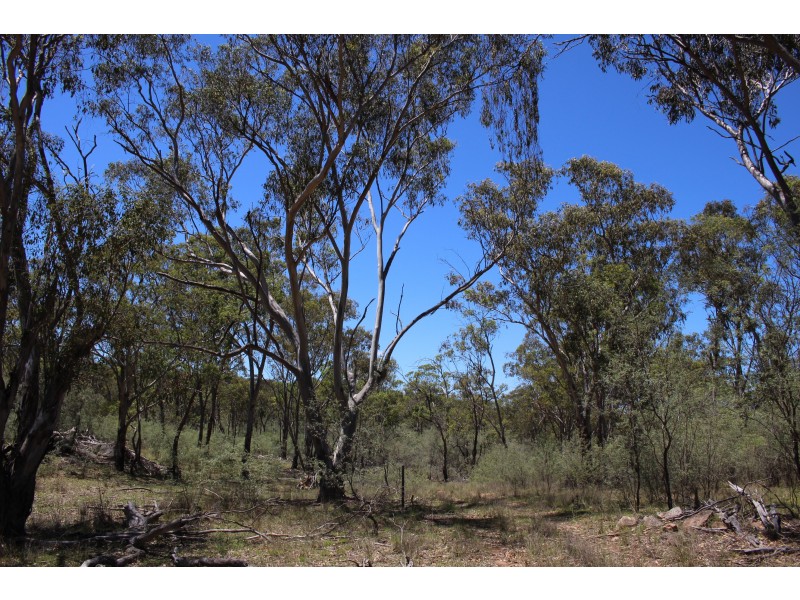 1402a Woodside Road, Tenterfield NSW 2372