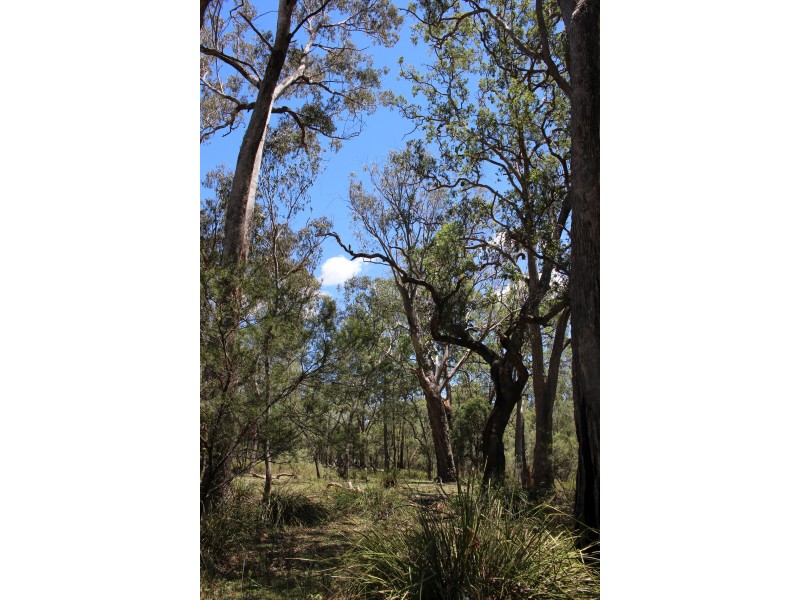 1402a Woodside Road, Tenterfield NSW 2372