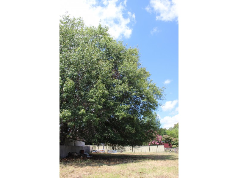 109 Miles Street, Tenterfield NSW 2372