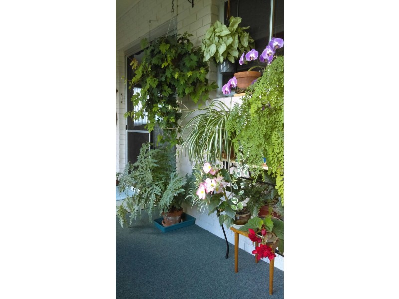 102 Bulwer Street, Tenterfield NSW 2372