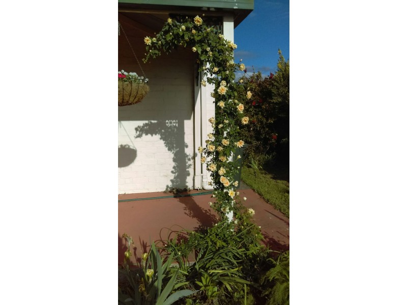 102 Bulwer Street, Tenterfield NSW 2372