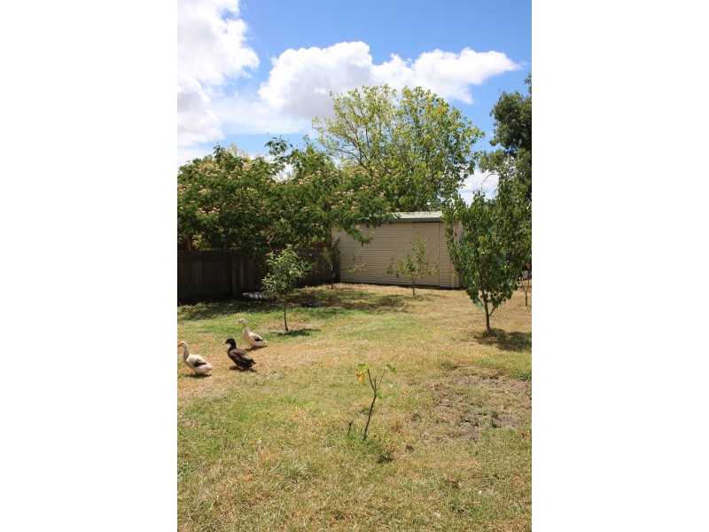 102 Bulwer Street, Tenterfield NSW 2372