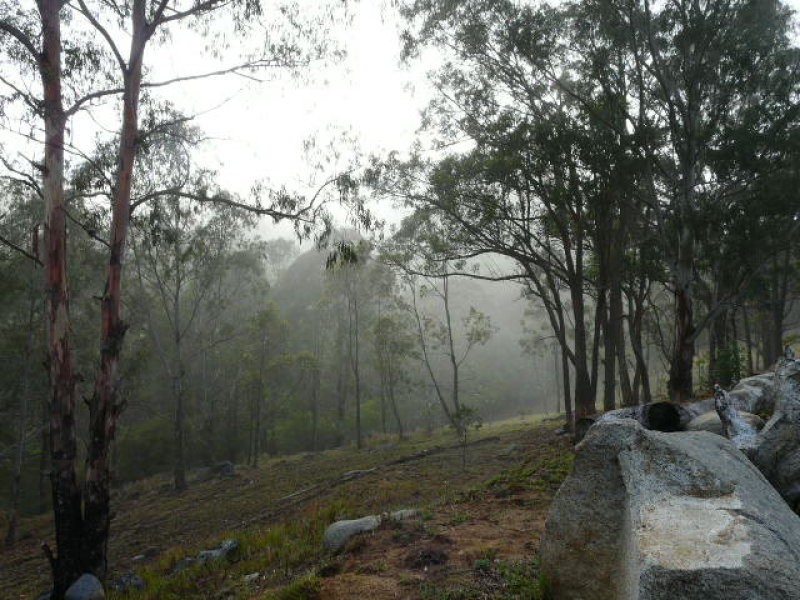 Tenterfield NSW 2372