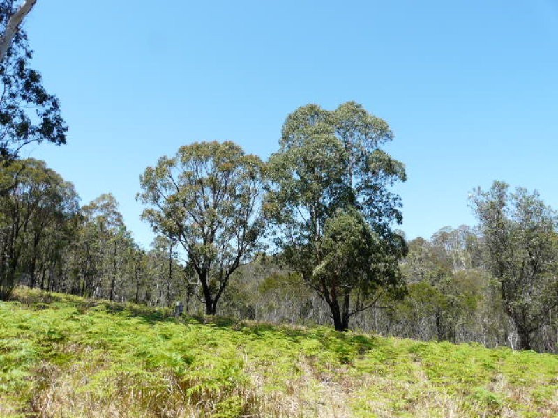 Tenterfield NSW 2372