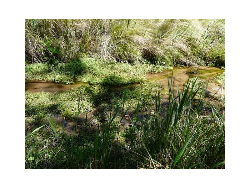 Tenterfield NSW 2372