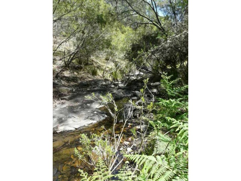 Tenterfield NSW 2372