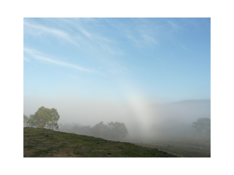 Tenterfield NSW 2372