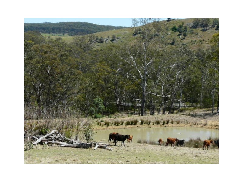 Tenterfield NSW 2372