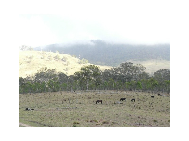 Tenterfield NSW 2372