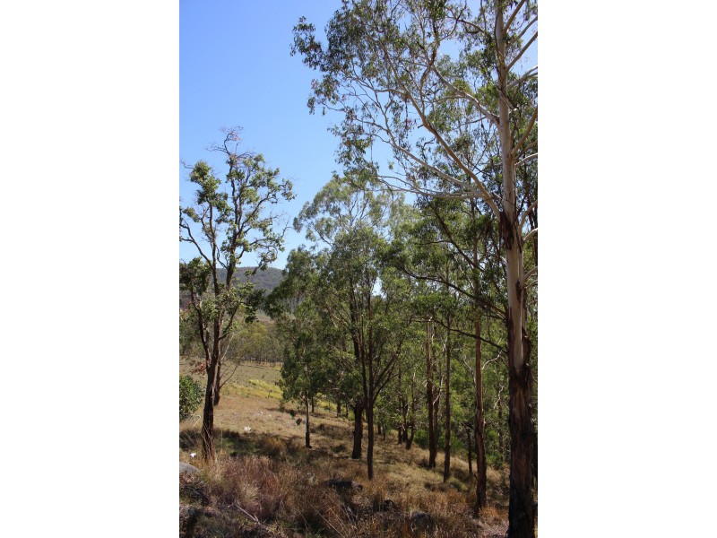 Tenterfield NSW 2372