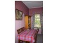 139 Petrie Street, Tenterfield NSW 2372