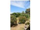 139 Petrie Street, Tenterfield NSW 2372
