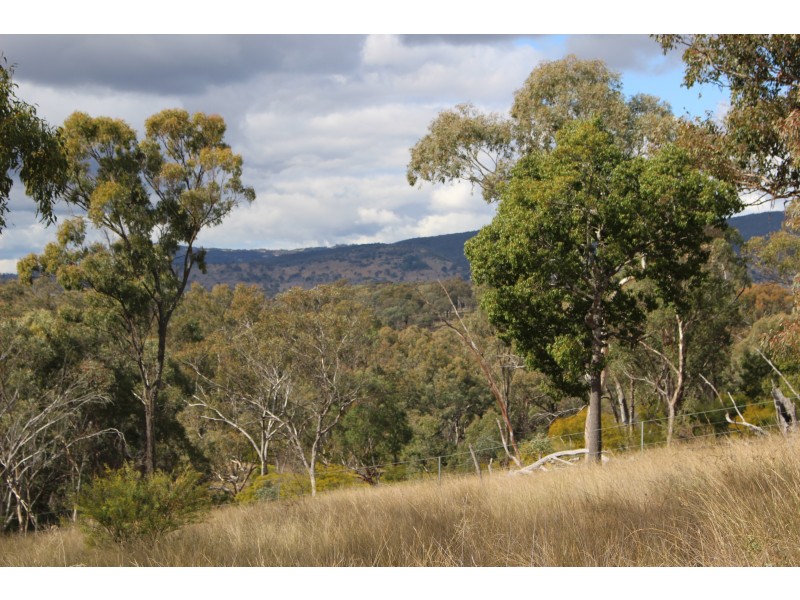 Lot 122 Platypus Valley, Tenterfield NSW 2372