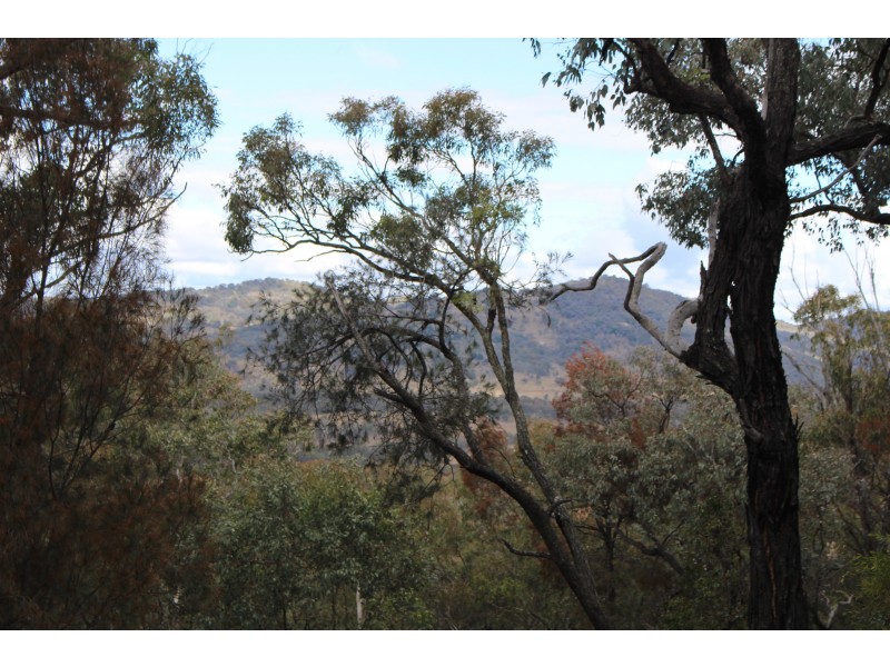 Lot 122 Platypus Valley, Tenterfield NSW 2372