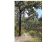 Lot 122 Platypus Valley, Tenterfield NSW 2372