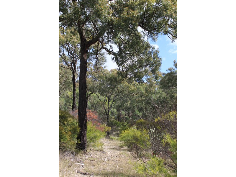 Lot 122 Platypus Valley, Tenterfield NSW 2372