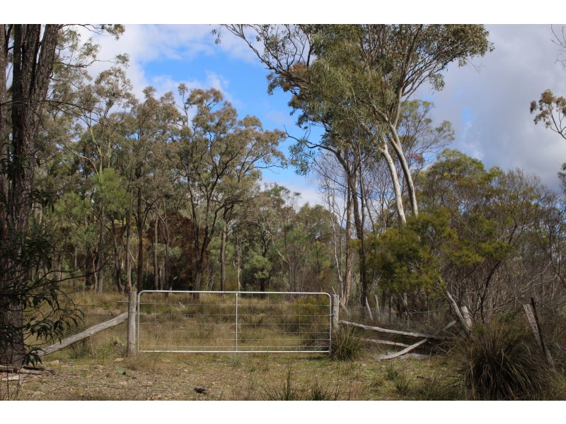 Lot 122 Platypus Valley, Tenterfield NSW 2372