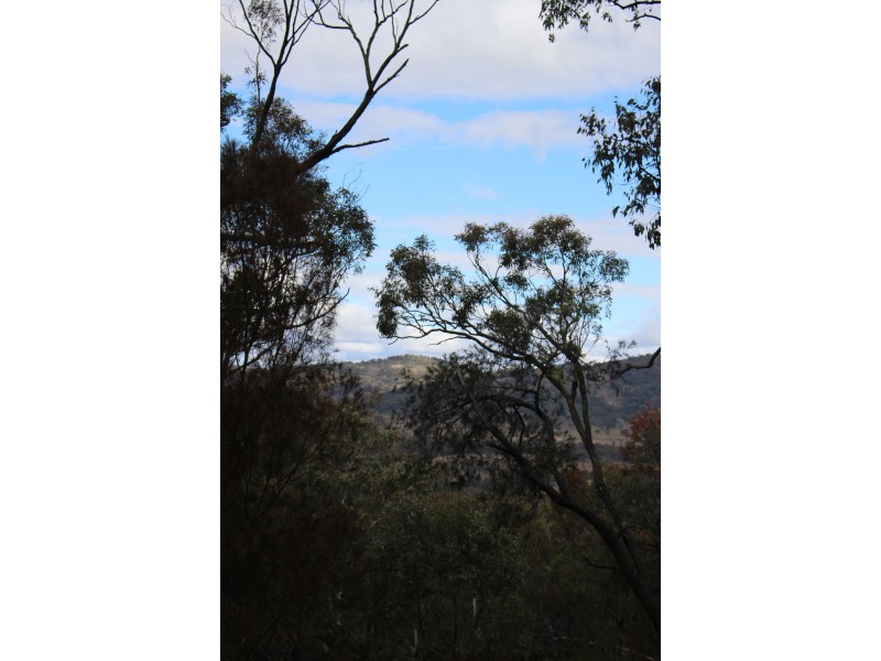 Lot 122 Platypus Valley, Tenterfield NSW 2372