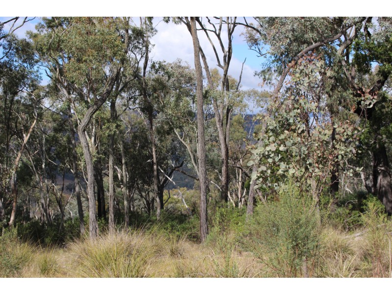 Lot 122 Platypus Valley, Tenterfield NSW 2372
