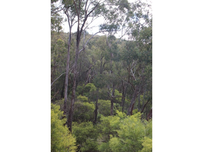 Lot 122 Platypus Valley, Tenterfield NSW 2372