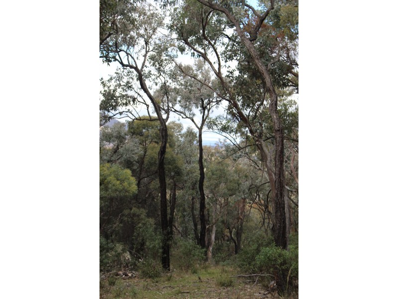 Lot 122 Platypus Valley, Tenterfield NSW 2372