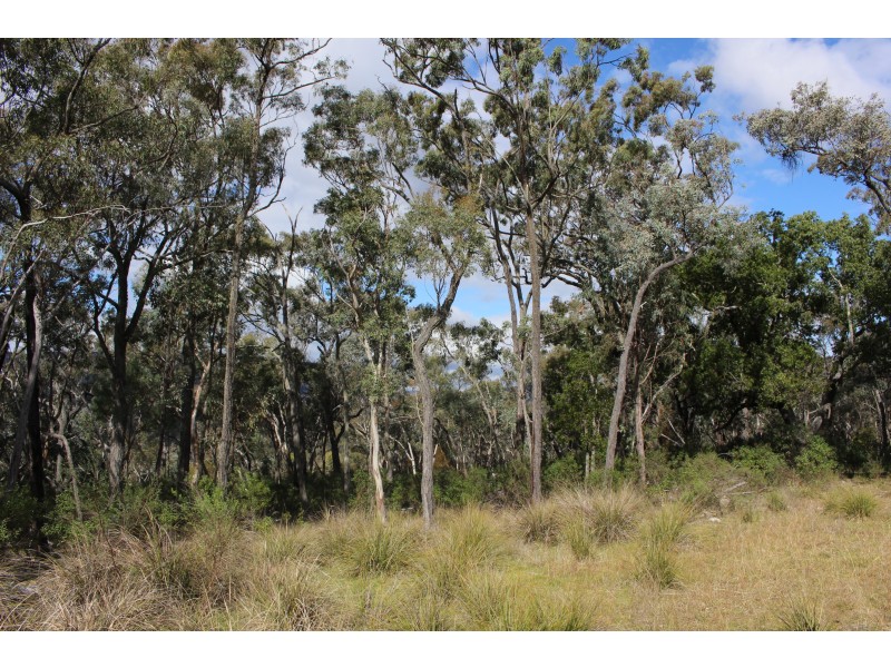 Lot 122 Platypus Valley, Tenterfield NSW 2372