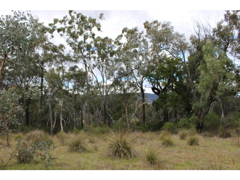 Lot 122 Platypus Valley, Tenterfield NSW 2372
