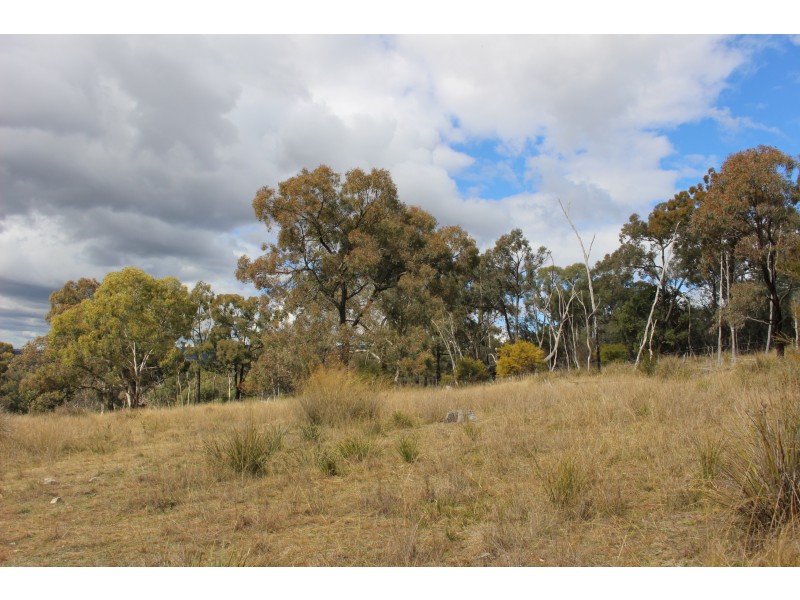 Lot 122 Platypus Valley, Tenterfield NSW 2372