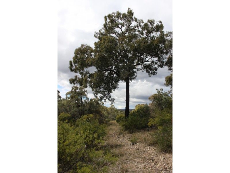 Lot 122 Platypus Valley, Tenterfield NSW 2372