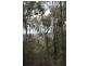 Lot 122 Platypus Valley, Tenterfield NSW 2372