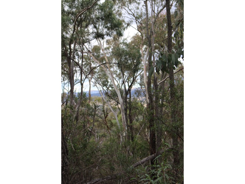 Lot 122 Platypus Valley, Tenterfield NSW 2372