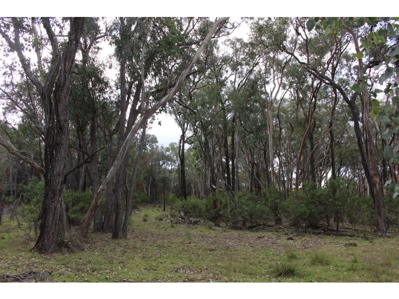 Lot 122 Platypus Valley, Tenterfield NSW 2372