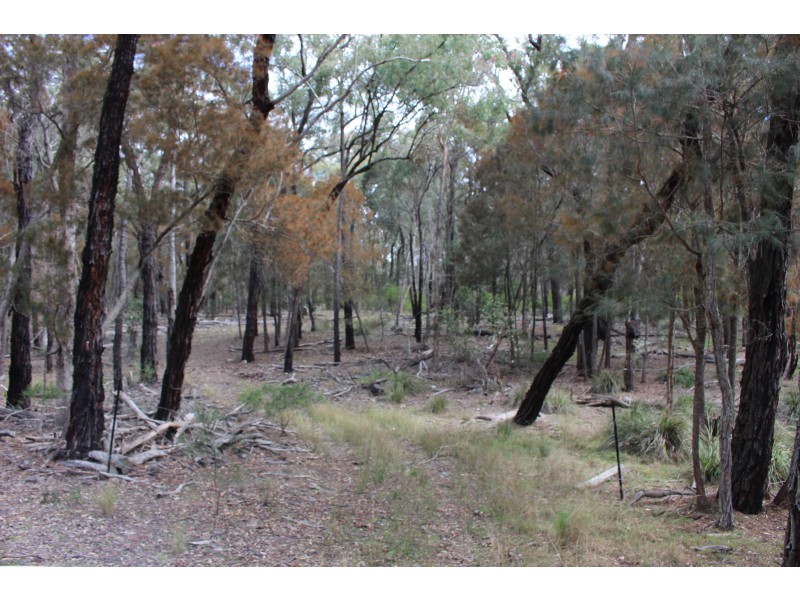 Lot 122 Platypus Valley, Tenterfield NSW 2372