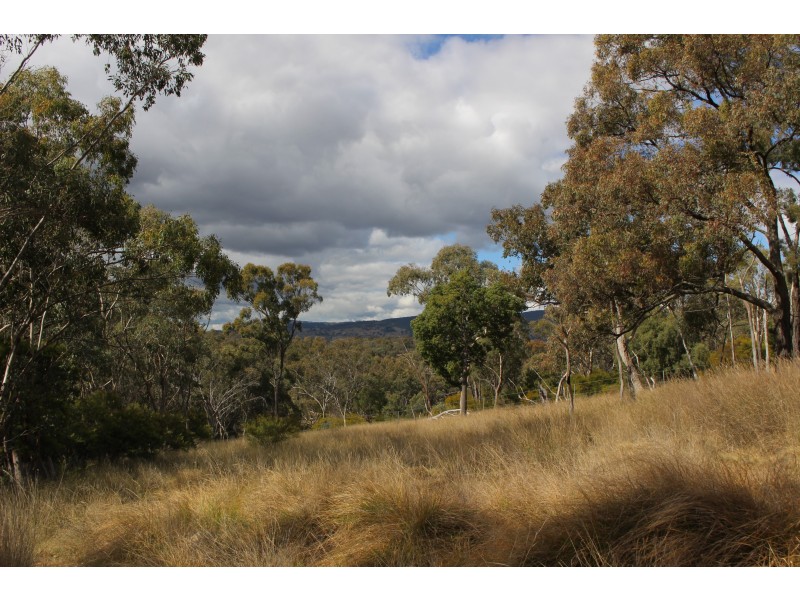 Lot 122 Platypus Valley, Tenterfield NSW 2372