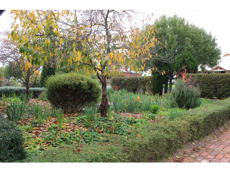 50 Wood Street, Tenterfield NSW 2372