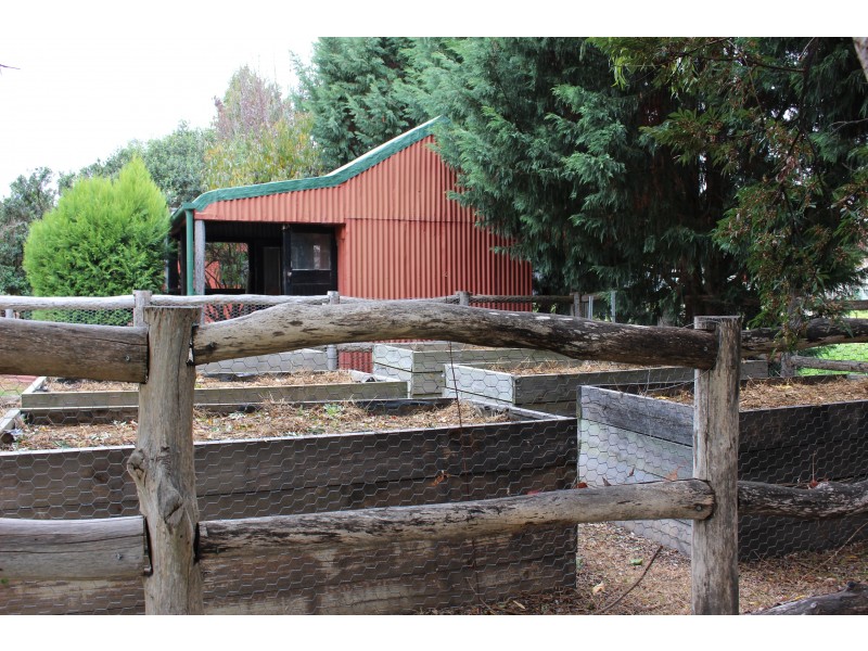 50 Wood Street, Tenterfield NSW 2372