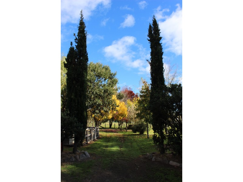 50 Wood Street, Tenterfield NSW 2372